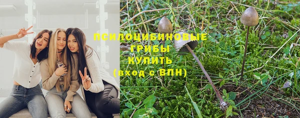 дживик Волоколамск