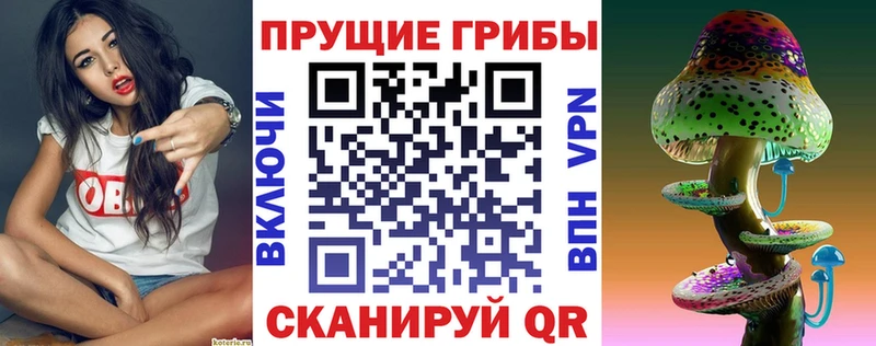 дарнет шоп  Елабуга  Галлюциногенные грибы Cubensis 