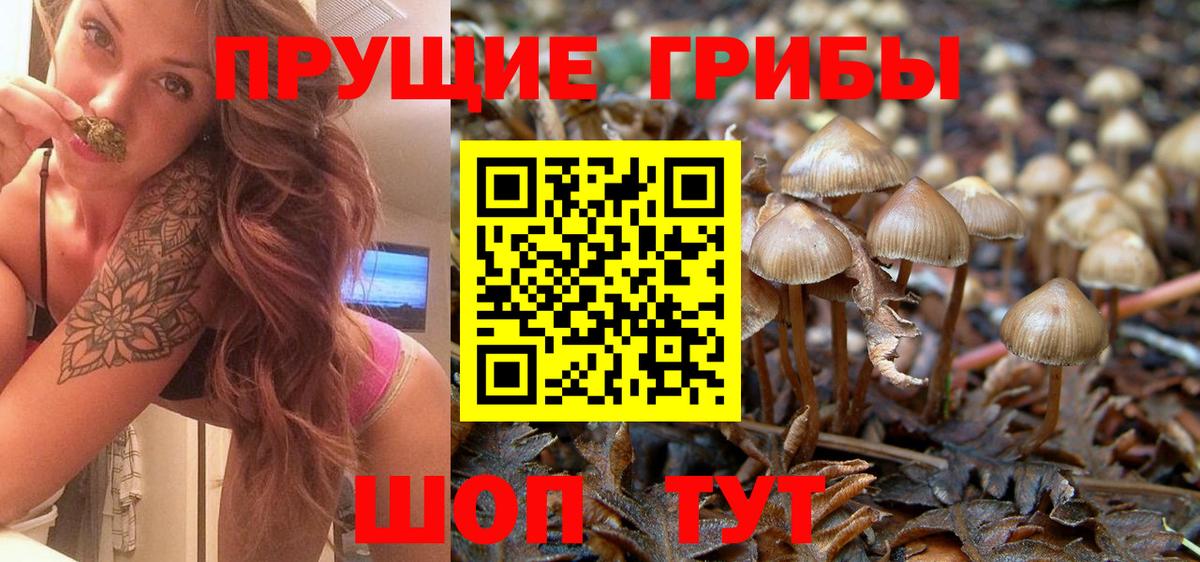 Галлюциногенные грибы ЛСД Елабуга