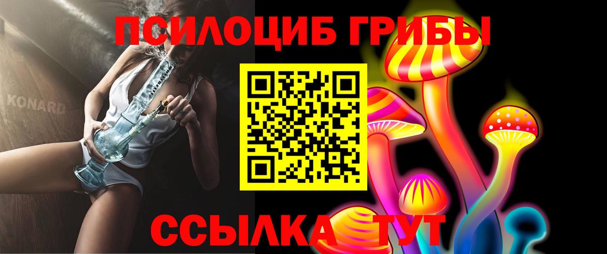 Елабуга  Псилоцибиновые грибы Magic Shrooms  купить наркоту  Вход с VPN  Псилоцибиновые грибы ЛСД 